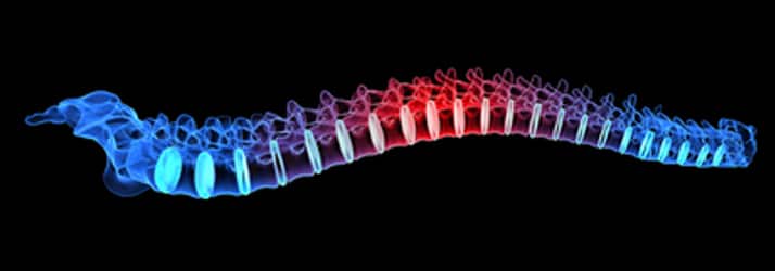 Chiropractic Fairlawn OH Spine Chiropractic Fairlawn OH Spine